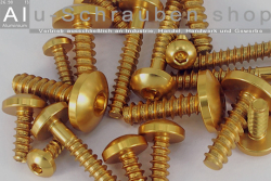 Aluminium Bolts | Gold | ST4.2 | ~DIN 7981 | Pan Head Tapping ST4.2x10