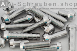 Alu Schrauben | Blank | M5 | DIN 912 | konischer Kopf | ISR M5x16