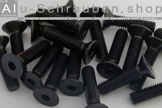 RS PRO Stahl Schraubensortiment Senkkopf, M4, M6, M8, M10 x 6 → 19mm, 250  Stück
